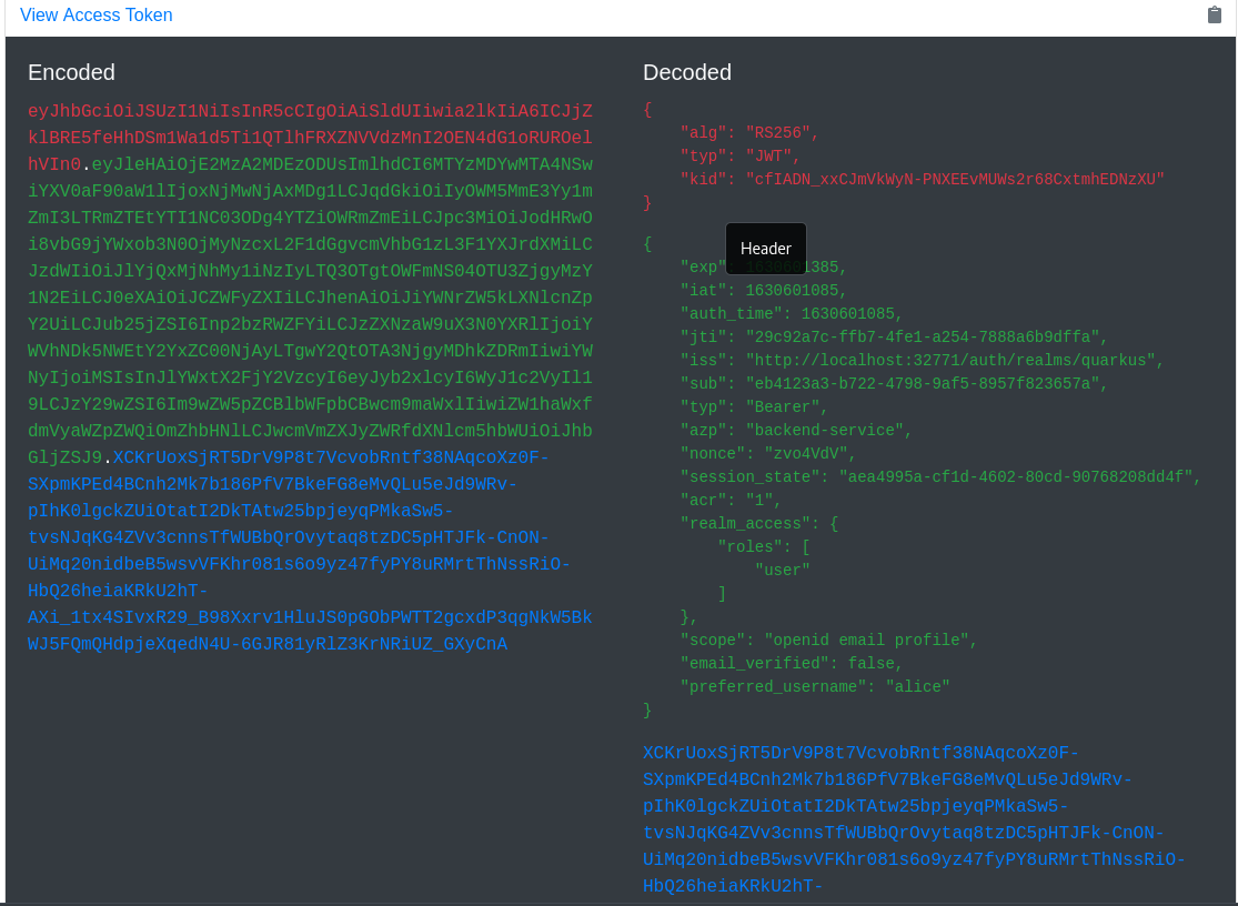 Dev UI OpenID Connect Keycloak Decoded Tokens View